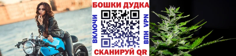 Купить где  Анжеро-Судженск  МАРИХУАНА VHQ 